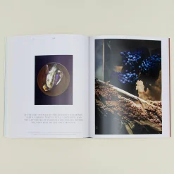 Gestalten Kitchen Accessories^A Spoonful of Sun Book