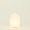 Asano Lighting & Furniture^Paper Moon - Egg