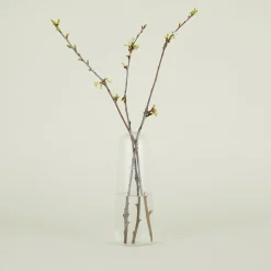 Hawkins New York Vases & Bowls^Aurora Pill Vase