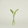 Hawkins New York Vases & Bowls^Aurora Slim Drop Vase