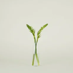 Hawkins New York Vases & Bowls^Aurora Slim Drop Vase