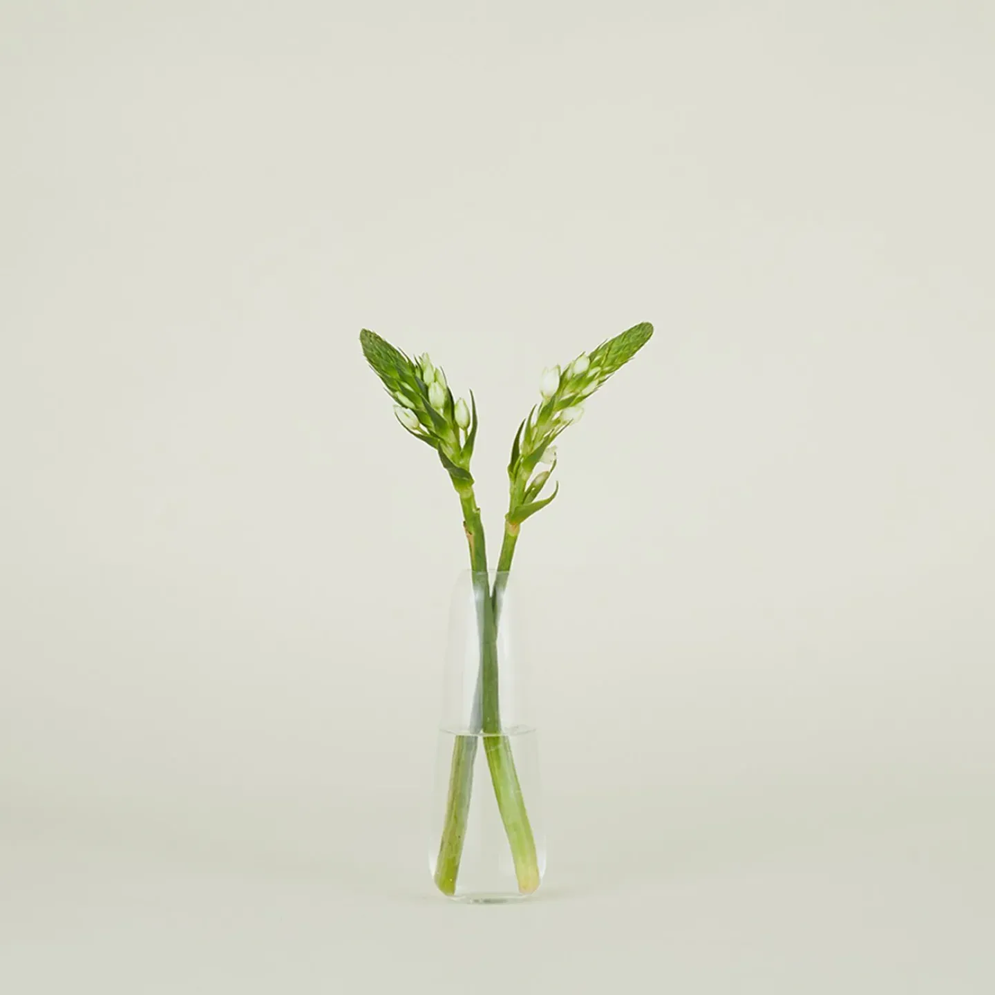 Hawkins New York Vases & Bowls^Aurora Slim Drop Vase