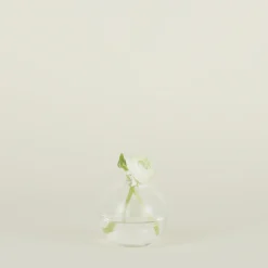 Hawkins New York Vases & Bowls^Aurora Sphere Vase