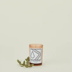 DS u0026 DURGA Candles & Tapers^Big Sur After Rain Candle