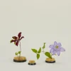 Marufuji Vases & Bowls^Brass Flower Frog