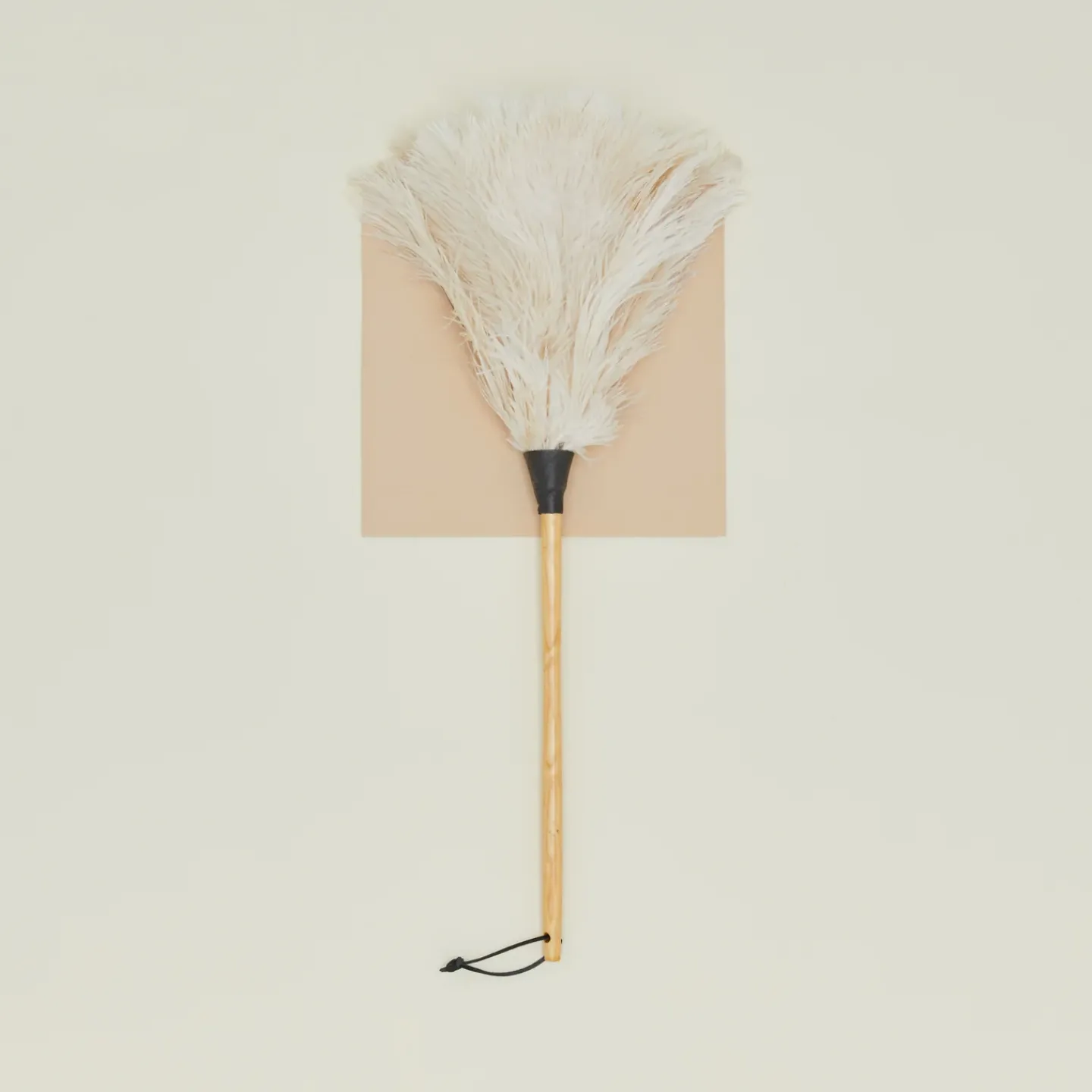 Earth and Nest Kitchen Cleaning^Feather Duster