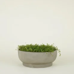 Hawkins New York Garden & Patio^Footed Bowl Planter