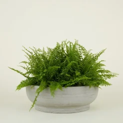 Hawkins New York Garden & Patio^Footed Bowl Planter