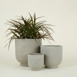 Hawkins New York Garden & Patio^Footed Planter