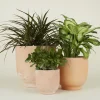 Hawkins New York Garden & Patio^Footed Planter