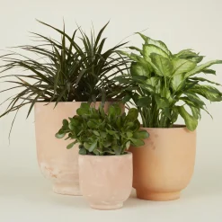 Hawkins New York Garden & Patio^Footed Planter