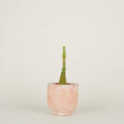 Hawkins New York Garden & Patio^Footed Planter