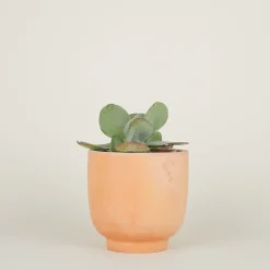 Hawkins New York Garden & Patio^Footed Planter
