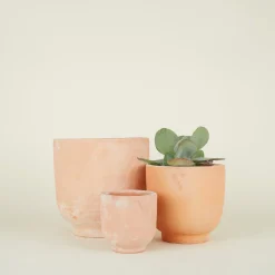 Hawkins New York Garden & Patio^Footed Planter