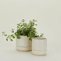 Greenery Unlimited Garden & Patio^Franklin Self Watering Planter