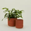 Greenery Unlimited Garden & Patio^Franklin Self Watering Planter