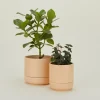 Greenery Unlimited Garden & Patio^Franklin Self Watering Planter