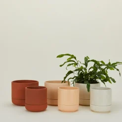 Greenery Unlimited Garden & Patio^Franklin Self Watering Planter