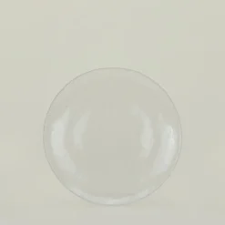 British Colour Standard Dinnerware^Glass Dinner Plate