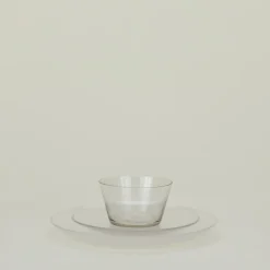 British Colour Standard Dinnerware^Glass Dinner Plate