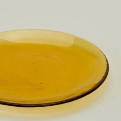 British Colour Standard Dinnerware^Glass Dinner Plate