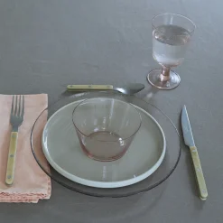 British Colour Standard Dinnerware^Glass Dinner Plate