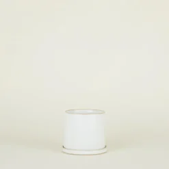 Convivial Garden & Patio^Minimal Planter