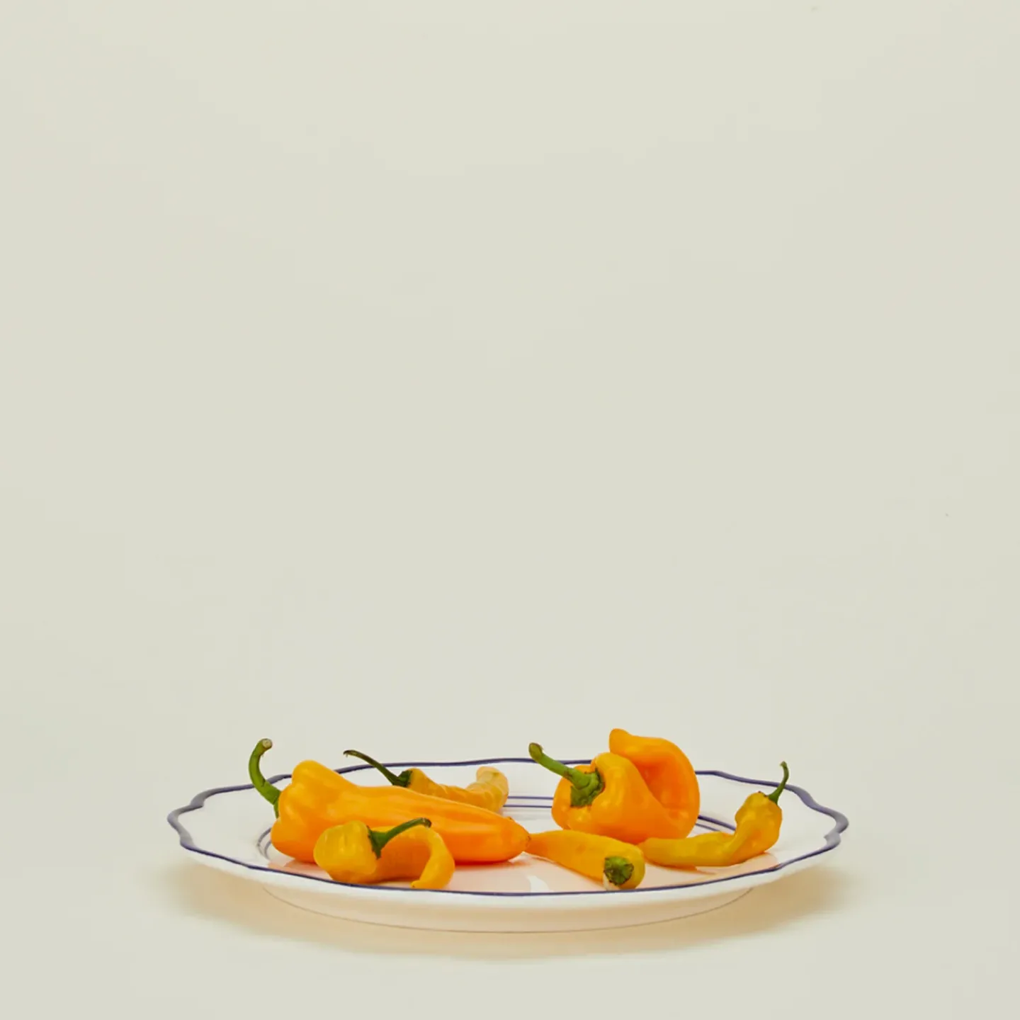 Maison Madison Home Serveware^Ogee Edge Round Platter