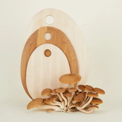 Hawkins New York Kitchen Accessories|Cutting Boards & Knives^Pebble Cutting Board - Maple
