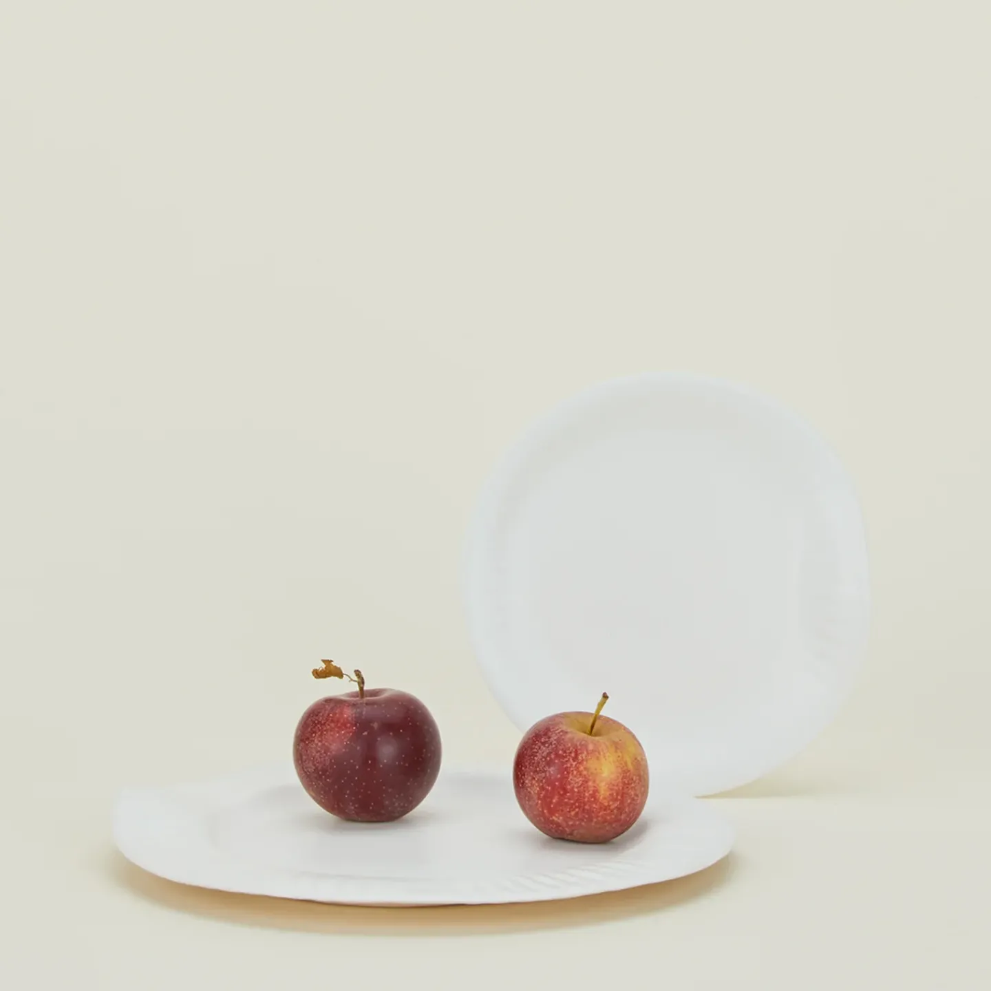 SIN Dinnerware^Porcelain Paper Plate