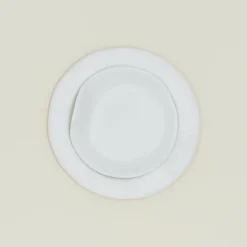 SIN Dinnerware^Porcelain Paper Plate