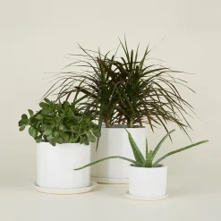 Convivial Garden & Patio^Riveted Planter