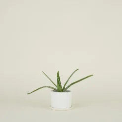 Convivial Garden & Patio^Riveted Planter