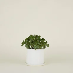 Convivial Garden & Patio^Riveted Planter