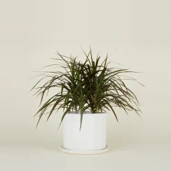 Convivial Garden & Patio^Riveted Planter