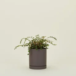 Ferm Living Garden & Patio^Sekki Pot