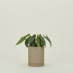 Ferm Living Garden & Patio^Sekki Pot