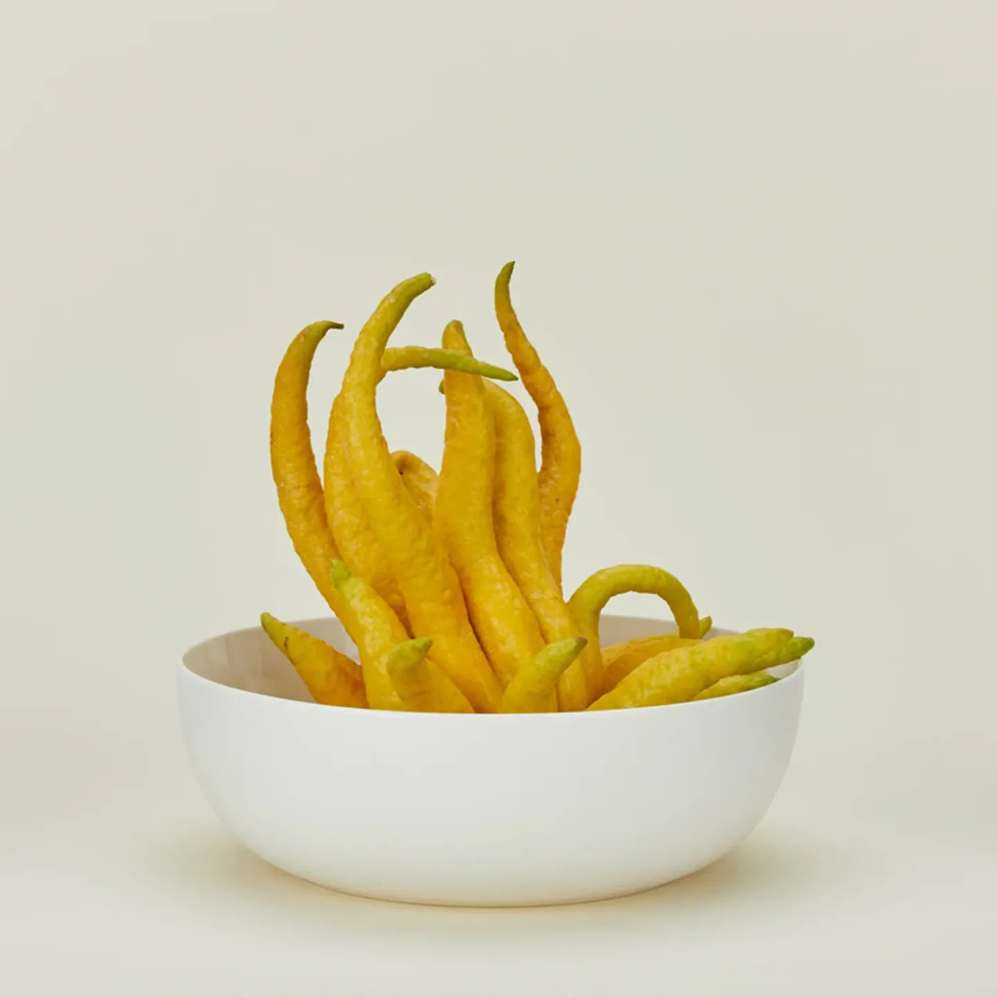 Hawkins New York Serveware^Simple Porcelain Serving Bowl