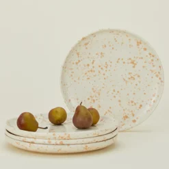 Sir/Madam Dinnerware^Splatterware Plate, Set of 4