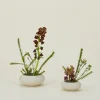 Convivial Vases & Bowls^Stoneware Ikebana Vase