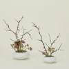 Convivial Vases & Bowls^Stoneware Ikebana Vase