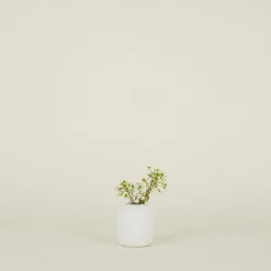 Sheldon Ceramics Vases & Bowls^Stoneware Vase