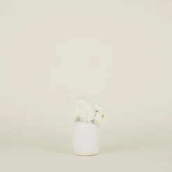 Sheldon Ceramics Vases & Bowls^Stoneware Vase