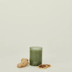 FIELD KIT Candles & Tapers^The Explorer Candle