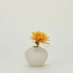 Convivial Bath Accessories^Verdure Vase