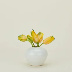 Convivial Vases & Bowls^Verdure Vase